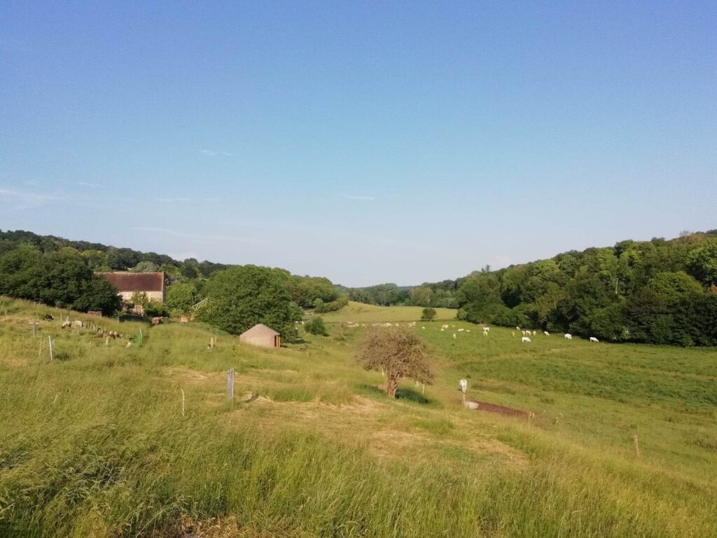 Paysage Reines Des Prés
