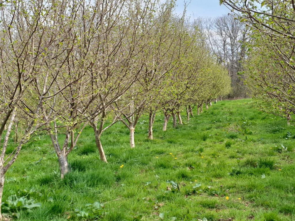 Vergers du Min Ran