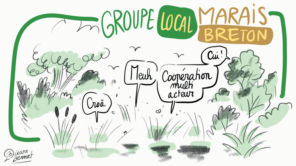 Lison Bernet - Séminaire installation pour la nature - Groupe local Marais breton