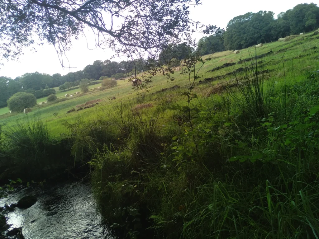 Mamm Douar Paysage