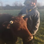 La Ferme de Kerouregan – Yves Le Goff
