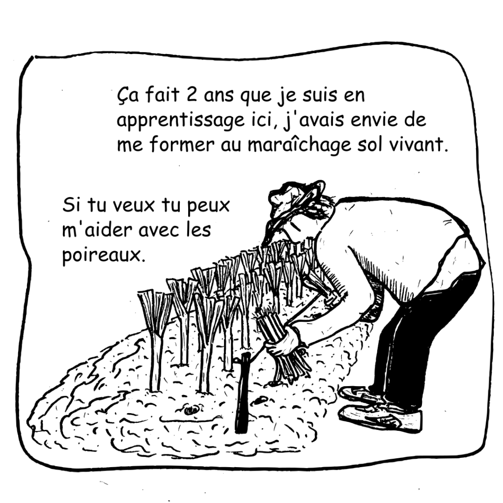 11 Barbarapoireaux