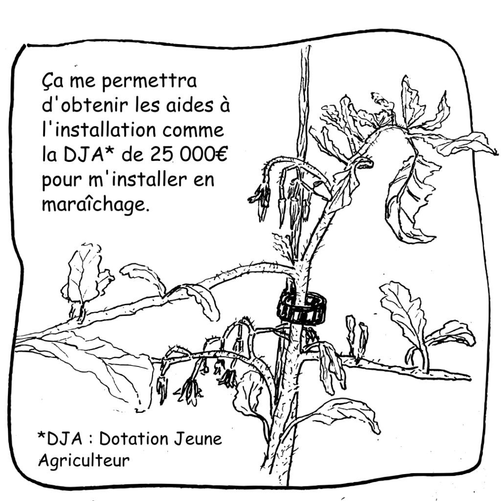 22 Dja