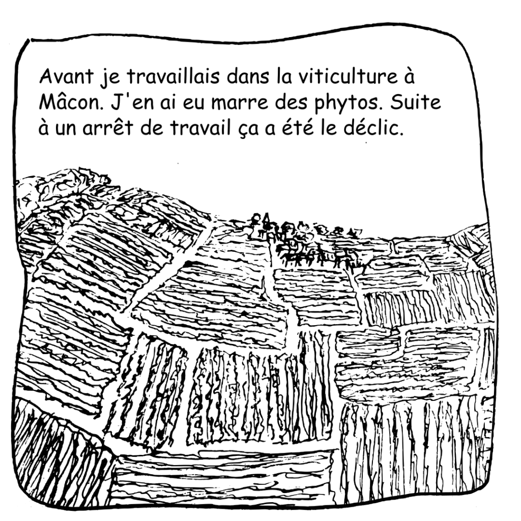 24 Vignes