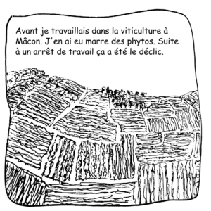 24 Vignes