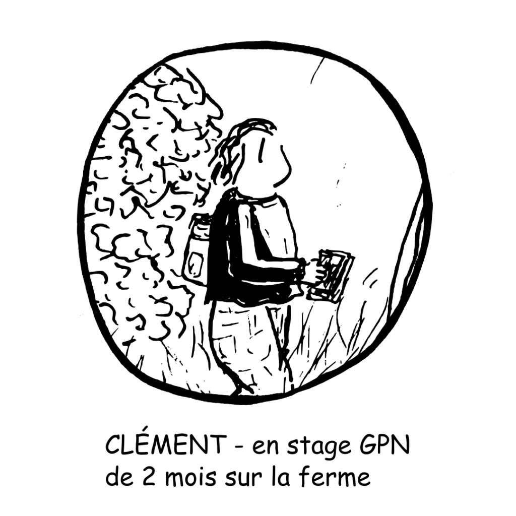 30 Clement