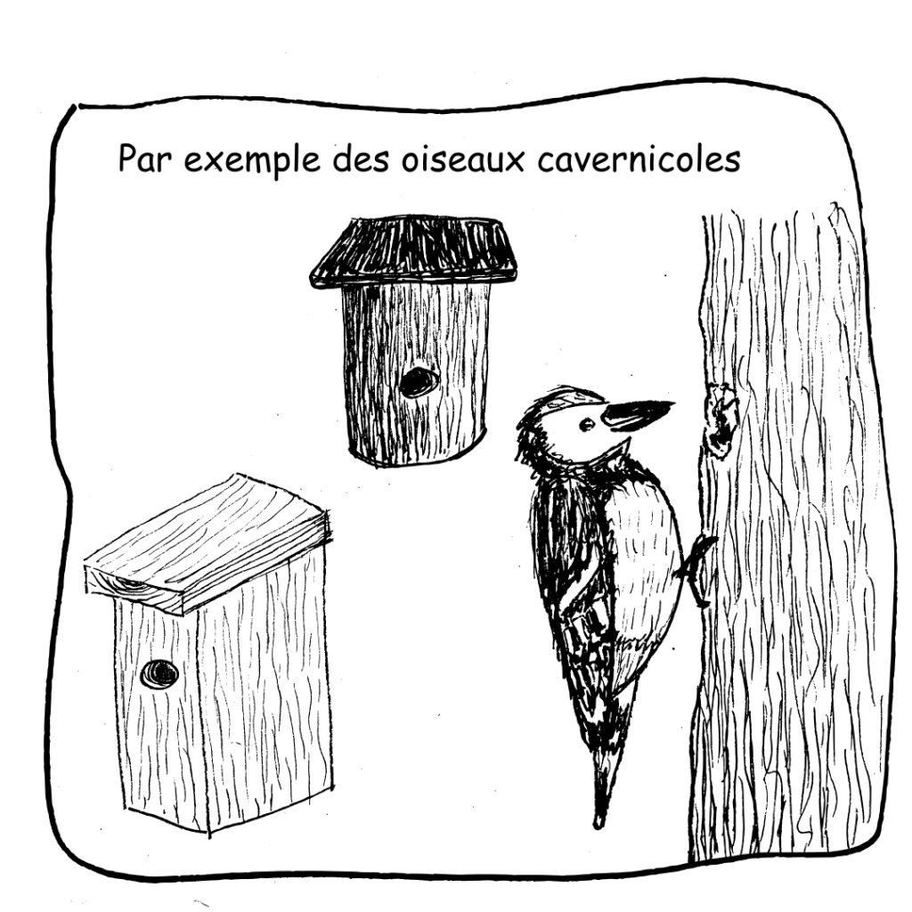 37 Cavernicoles
