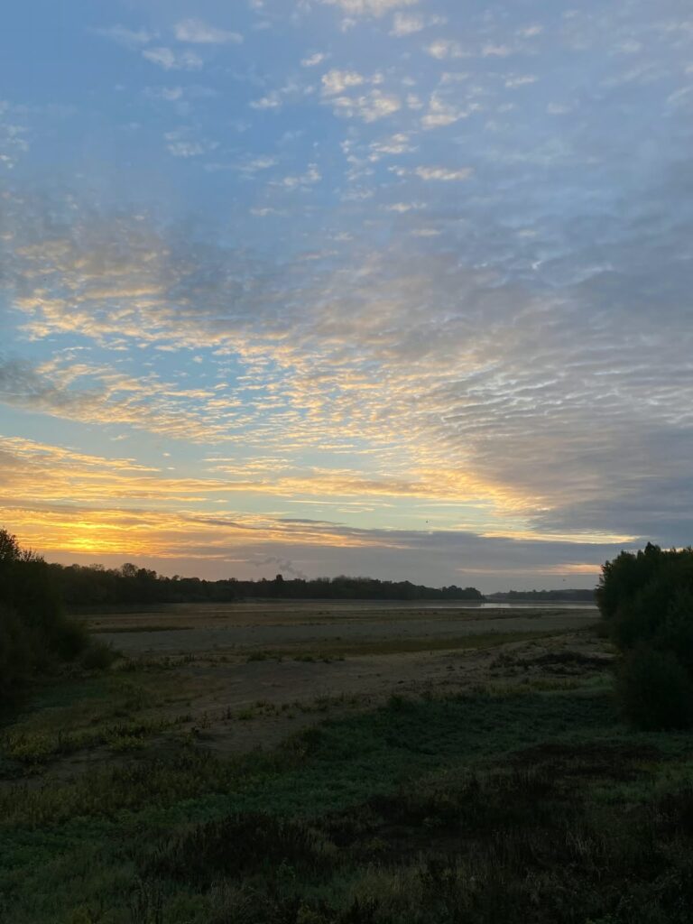 Oiseauxbordeloire Photojuliencurassier (2)