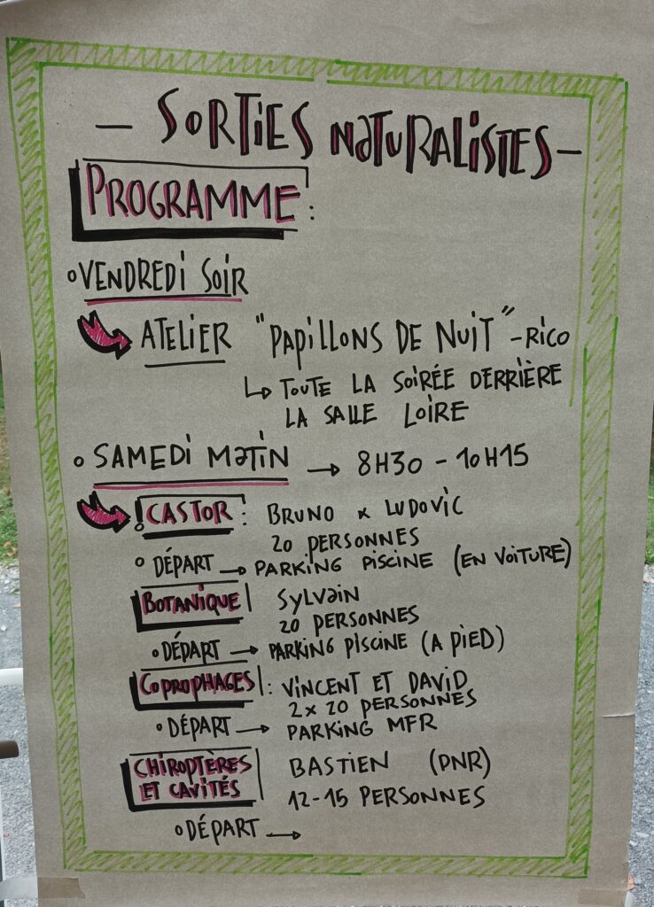 Progsorties Photoperrinedulac (19)